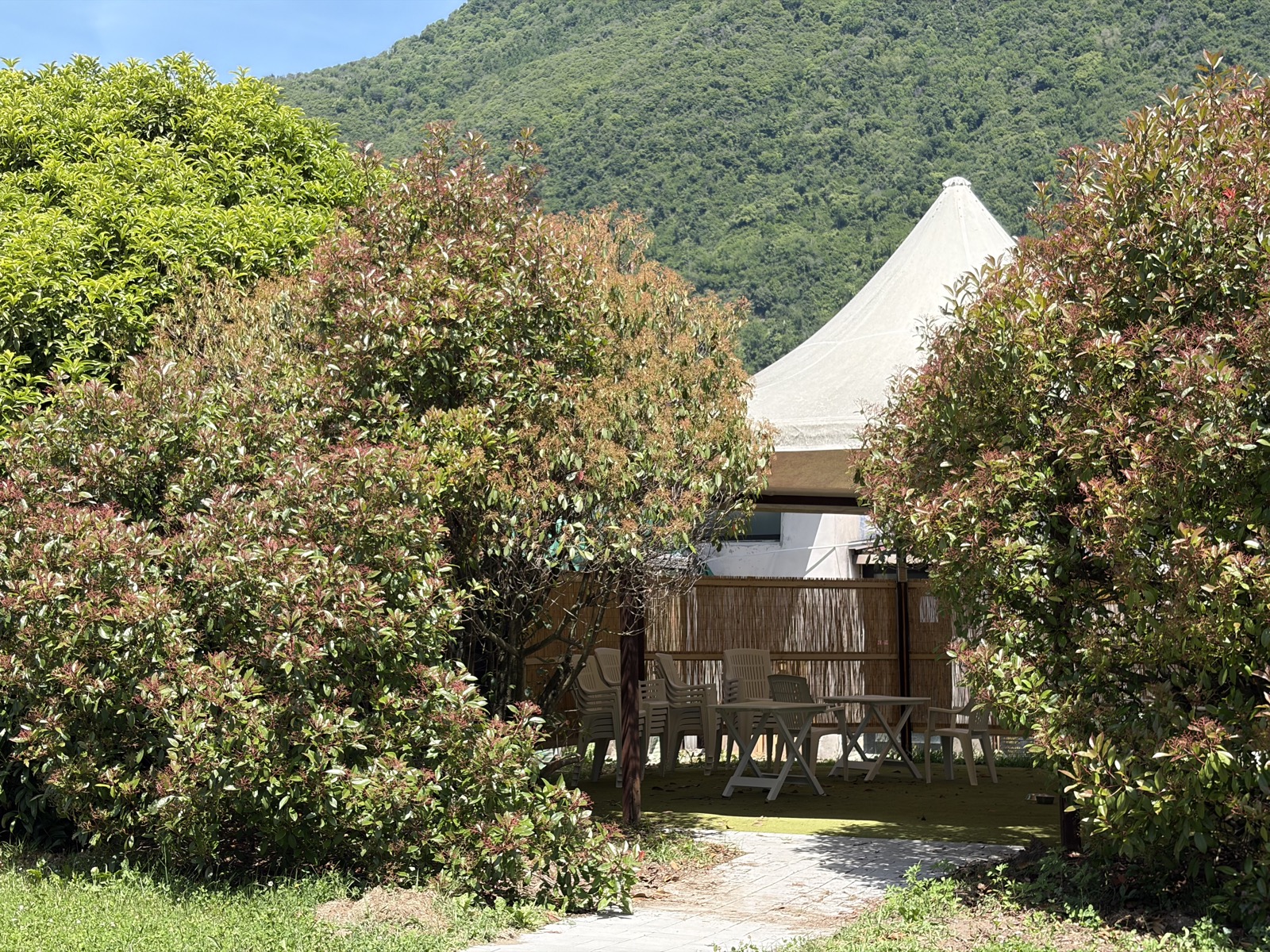Camp estivo