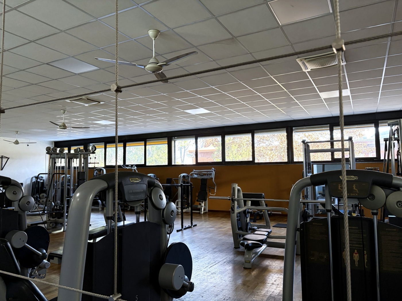 Palestra